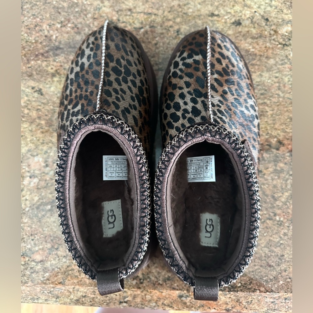 Brand new size 7 Ugg platform slippers. Tazz Caspian
